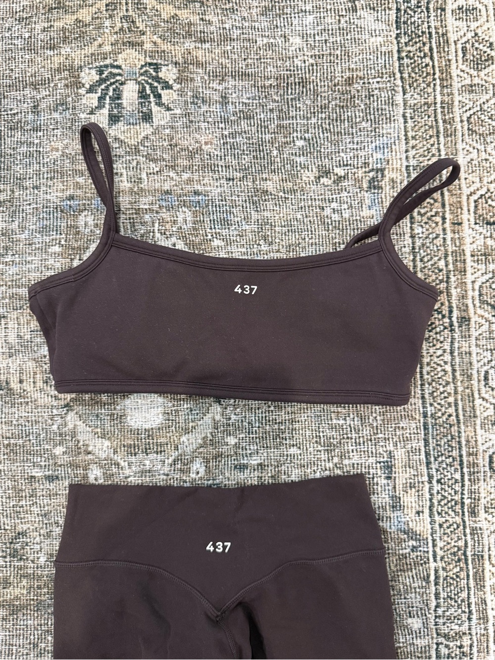 437 micro bra espresso - Women's brown sports bra - Picture 5 of 7